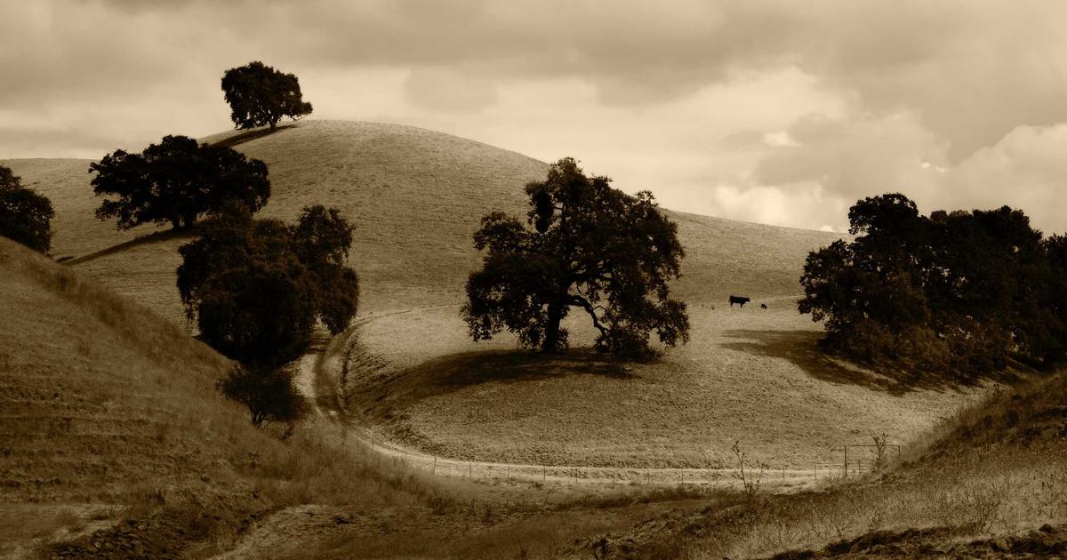 Why Adventure Is Underrated Medicine for the Mind